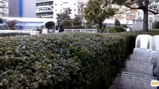 二零二三九月三号_皇冠加可约可一